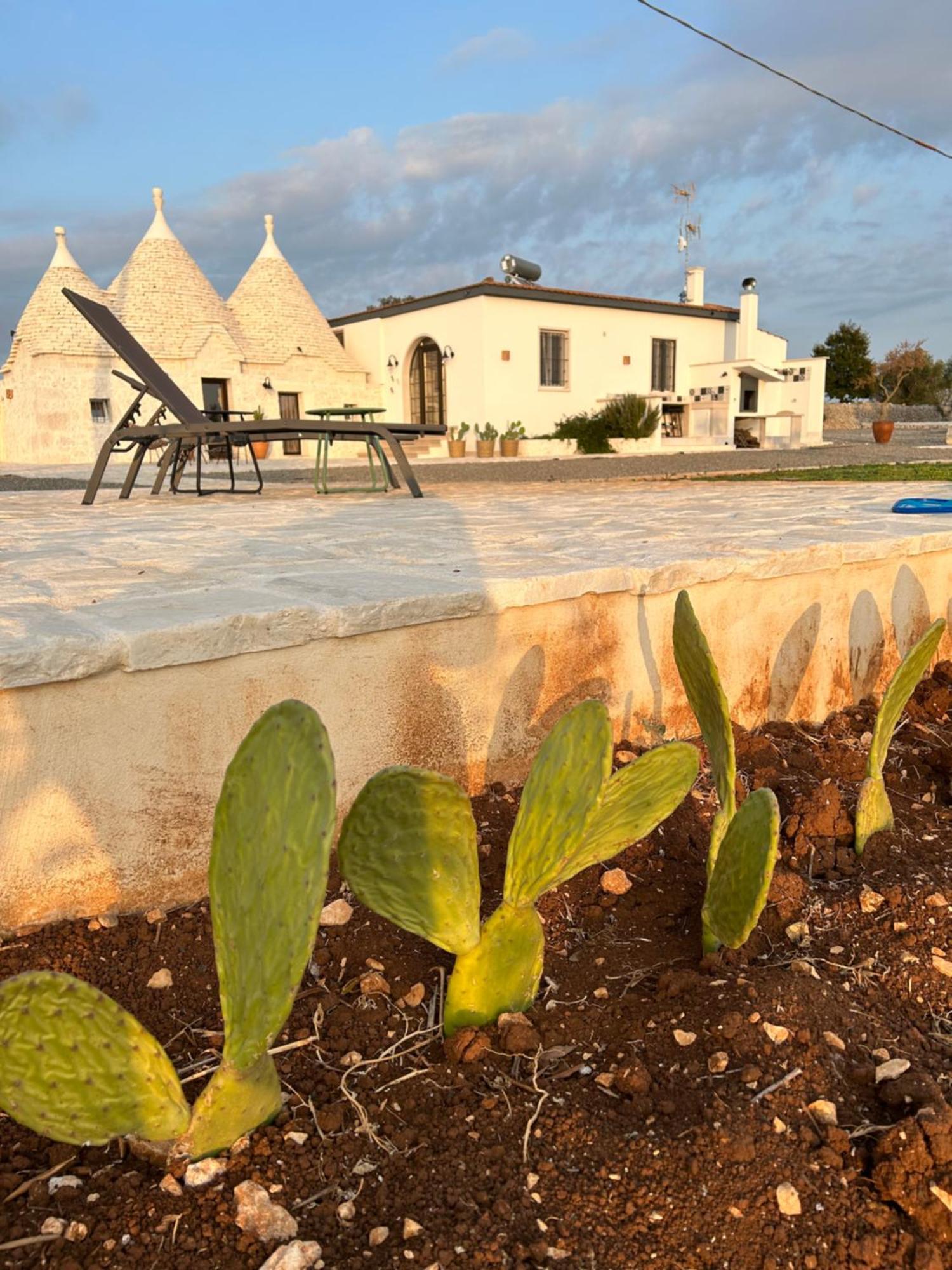 הוילה נוצ'י Trulli Enjoy מראה חיצוני תמונה